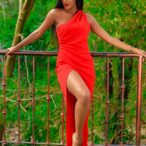 Alesia one- shoulder maxi dress